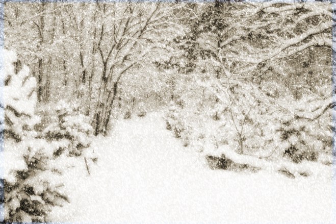 Watch Where You Are Going